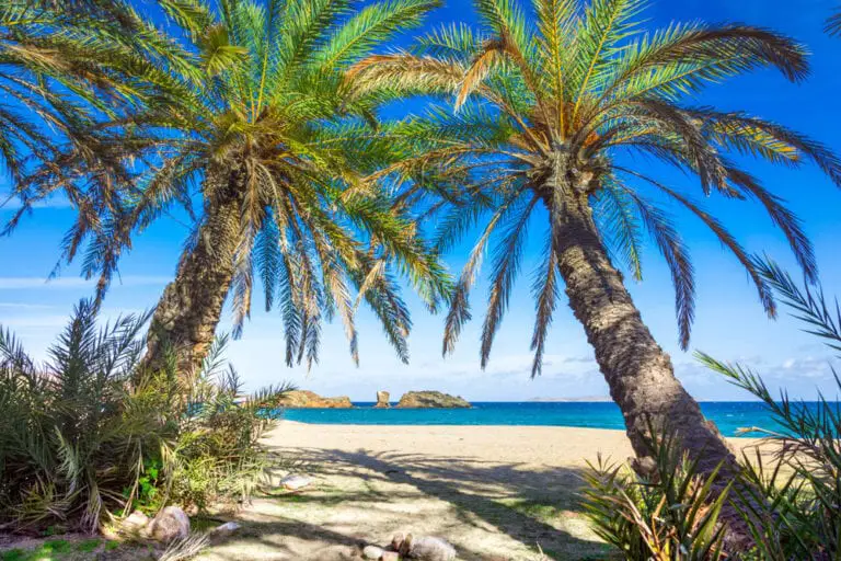 Vai Palm Beach Crete Greece